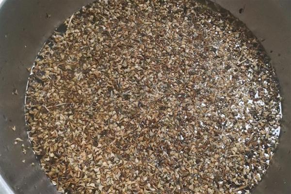 菠菜直接撒地上后多久能发芽，6-7天就可以发芽了