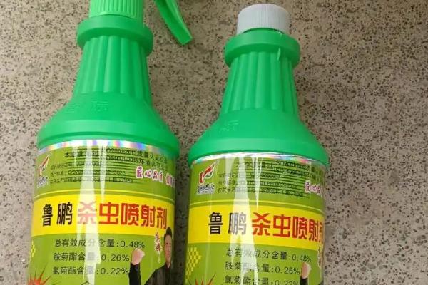 白蚁害怕哪些东西，惧怕蜻蜓、鸟类等天敌