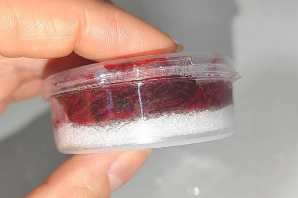 红虫如何保存，可以用湿毛巾或泥土保存