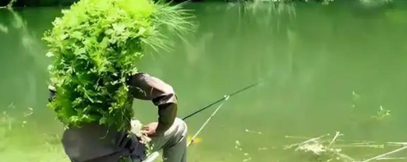 秋季适合钓深水还是浅水，大部分情况下钓浅水比较好