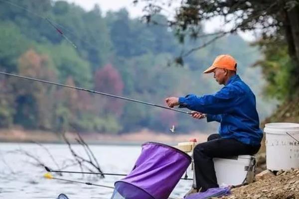 秋季适合钓深水还是浅水，大部分情况下钓浅水比较好