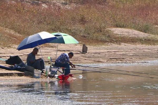 秋季适合钓深水还是浅水，大部分情况下钓浅水比较好