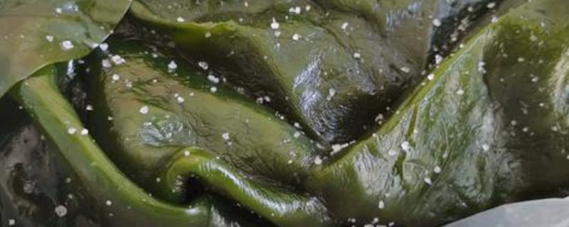 海带怎样去盐，常用的方法就是用水泡