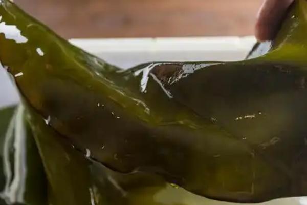 海带怎样去盐，常用的方法就是用水泡