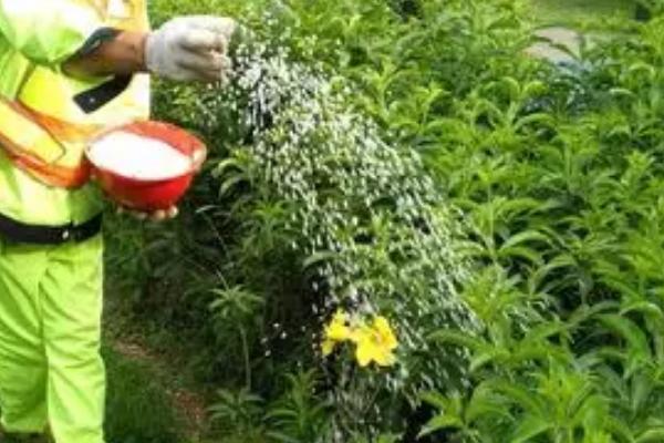 1斤复合肥要兑水多少斤，兑水比例与作用对象有关