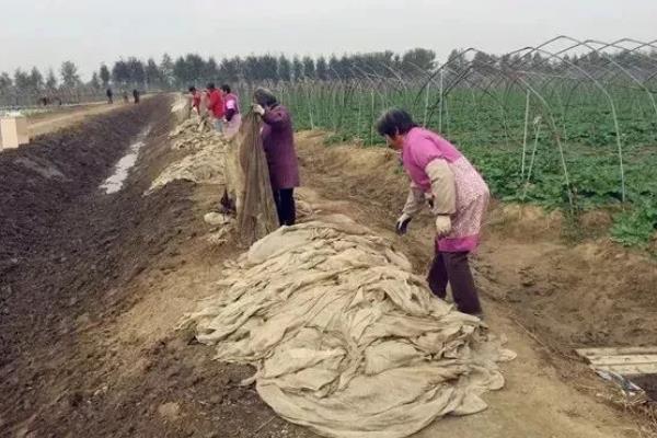 农膜如何保存，可选择土存法、水存法等