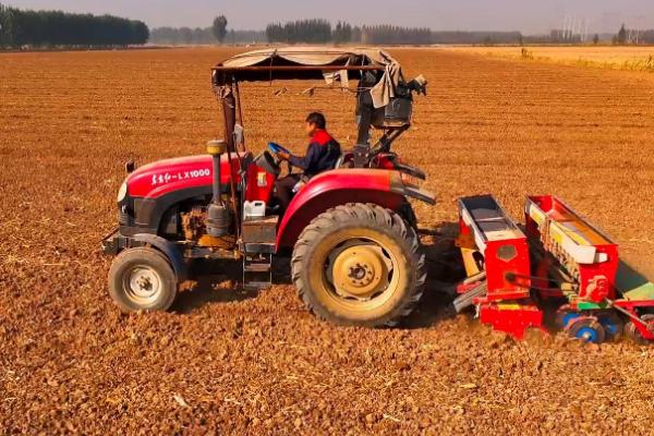 澳大利亚小麦的播种时间,通常在秋季播种