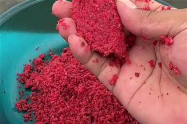 冬钓鲫鱼需要打窝吗，提前打窝可提高钓大鲫鱼的概率