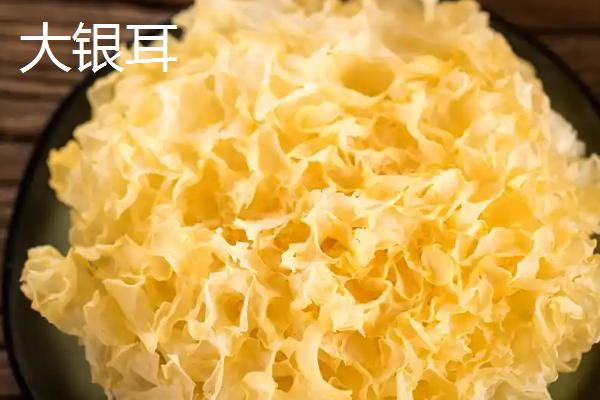 银耳的生长环境，主要长在温暖潮湿的腐木中