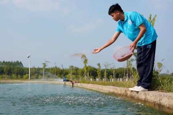 胖头鱼的食物种类，主要以轮虫、枝角类等浮游动物为食