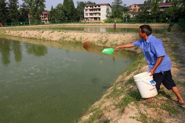 胖头鱼的食物种类，主要以轮虫、枝角类等浮游动物为食