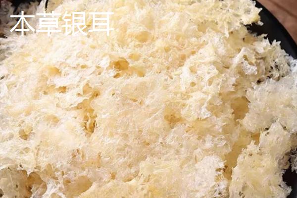 银耳的生长环境，主要长在温暖潮湿的腐木中