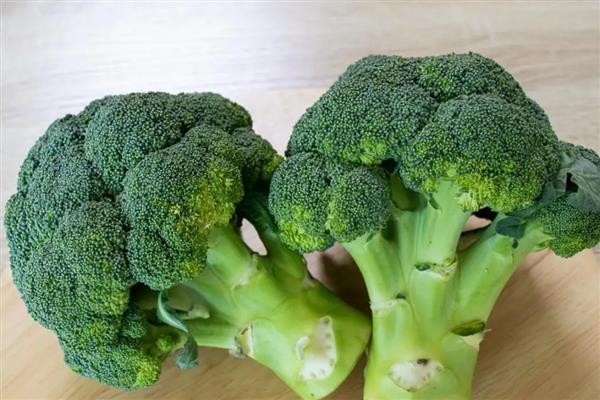 西兰花的常见品种，有秀绿西兰花、福至西兰花等