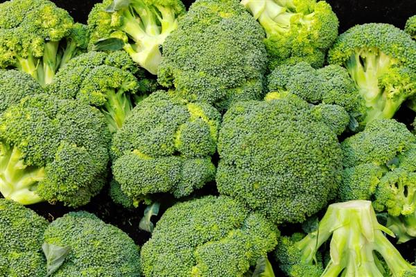 西兰花的常见品种，有秀绿西兰花、福至西兰花等