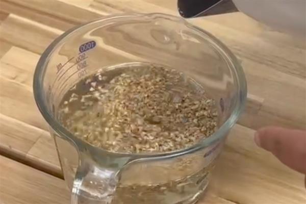 菠菜炭疽病发病表现，主要发生于茎部有病斑