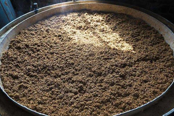 垂钓花鲢鱼使用什么饵料，全谷酒糟、发酵米能有效起到引诱作用