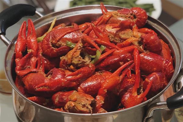 怎么家养小龙虾，可以喂食鲜鱼等动物性饵料
