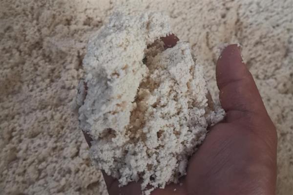 晒干的豆渣如何做肥料,以下3种方式可自由选择