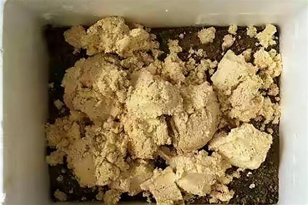 晒干的豆渣如何做肥料,以下3种方式可自由选择