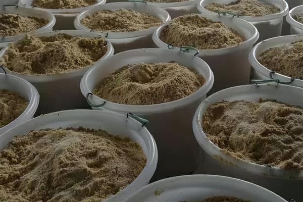 晒干的豆渣如何做肥料,以下3种方式可自由选择