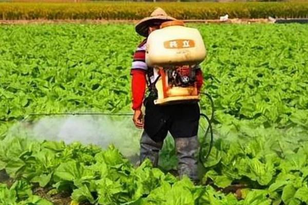 杀虫剂吸入过多会怎样，会容易引起中毒