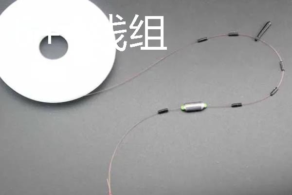 钓青鱼适合用什么渔具，鲤鱼竿、大物竿等竿型均可选择