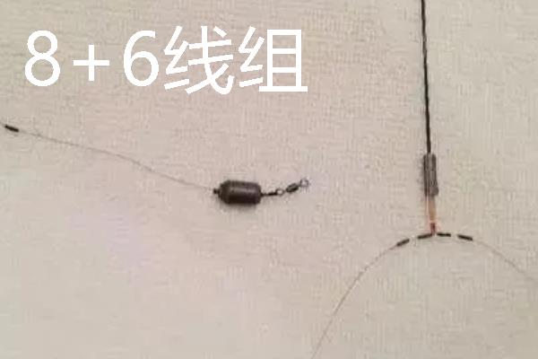钓青鱼适合用什么渔具，鲤鱼竿、大物竿等竿型均可选择