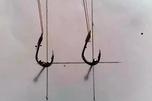 钓黄尾鱼用多长子线,通常用15-20厘米的子线