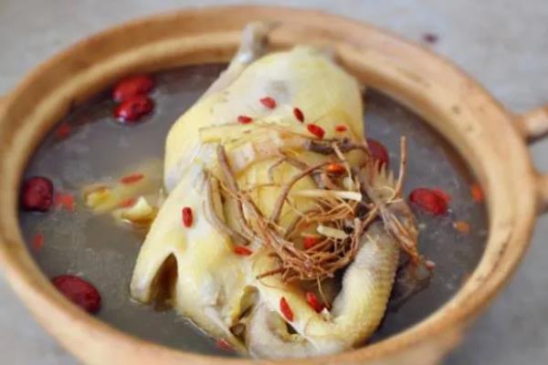 芭蕉芋有什么用途，可以制淀粉、酿酒等