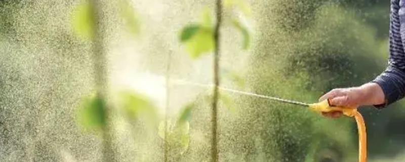 噻菌铜的防治对象，可防治白菜软腐病、黄瓜角斑病等病害