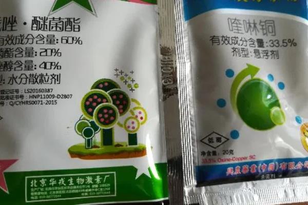 噻菌铜的防治对象，可防治白菜软腐病、黄瓜角斑病等病害