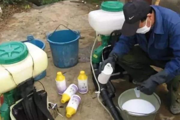 噻菌铜的防治对象，可防治白菜软腐病、黄瓜角斑病等病害
