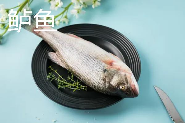 用几号伊豆钩垂钓黄尾鱼，一般选择2-5号伊豆钩