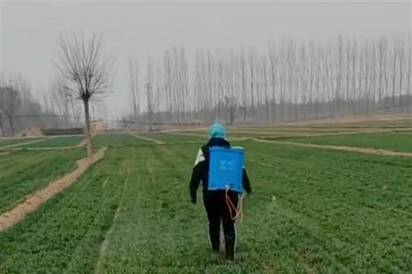 气温较低适不适合打除草剂，气温过高或过低都不适合打除草剂