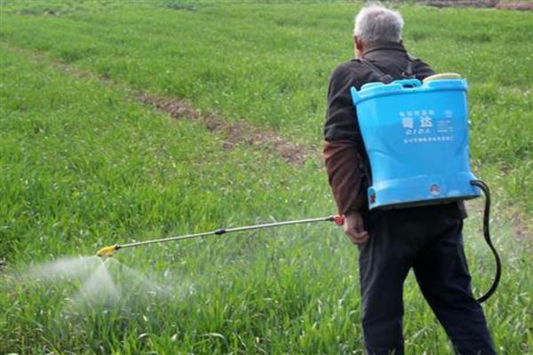 气温较低适不适合打除草剂，气温过高或过低都不适合打除草剂