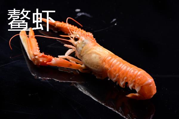 鳌虾与龙虾有什么区别，前者是淡水虾、后者是海水虾