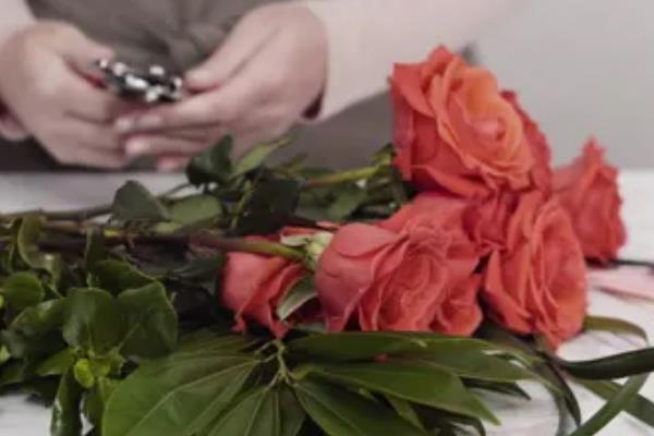 象征友谊有哪些花朵，常见的有百日菊、常青藤等