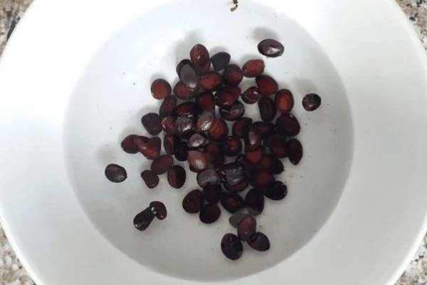西瓜的种植方法，适合在每年的春季播种