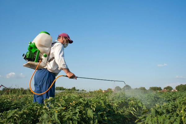 预防农药污染有哪些措施，要严格掌握正确的施药量