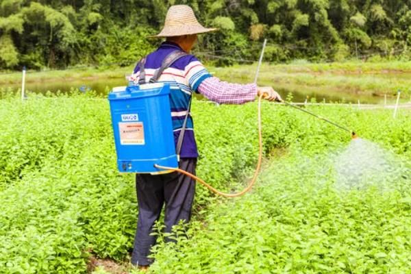 预防农药污染有哪些措施，要严格掌握正确的施药量