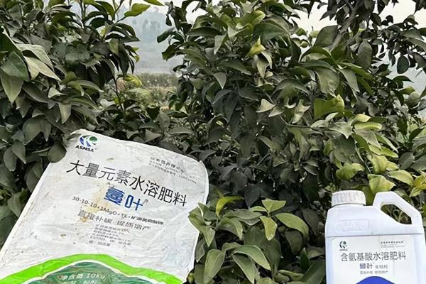 水溶肥有哪些优点，其营养均衡