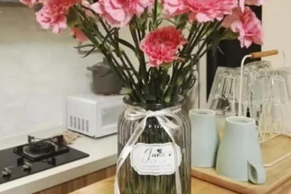 水插康乃馨可以开放多久，养护得当可开放一个月左右