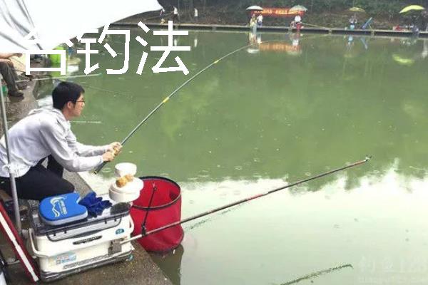 野钓鲢鳙用哪种鱼竿，推荐综合竿、鲤鱼竿等