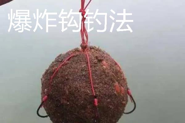 野钓鲢鳙用哪种鱼竿，推荐综合竿、鲤鱼竿等