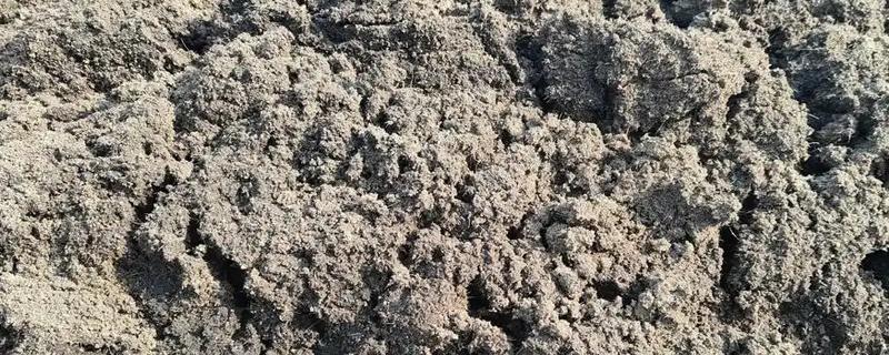 猪粪晒干后能不能用来养花，发酵时会释放热量灼伤根系