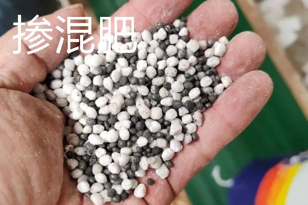 复混肥与掺混肥有什么区别，概念、生产工艺、养分含量等方面均不同