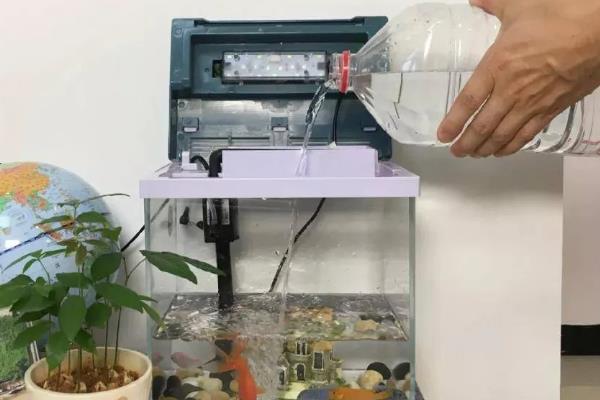 鱼缸里面的鱼为什么聚堆，主要是水质差、不适应环境、缺少溶氧造成