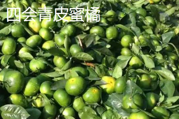 经济效益好的柑橘品种，推荐金柑、砂糖橘等
