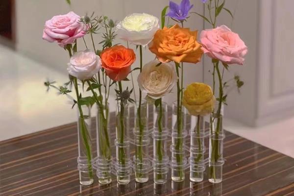 第一次见对象选择送什么花，可选择玫瑰花、马蹄莲等