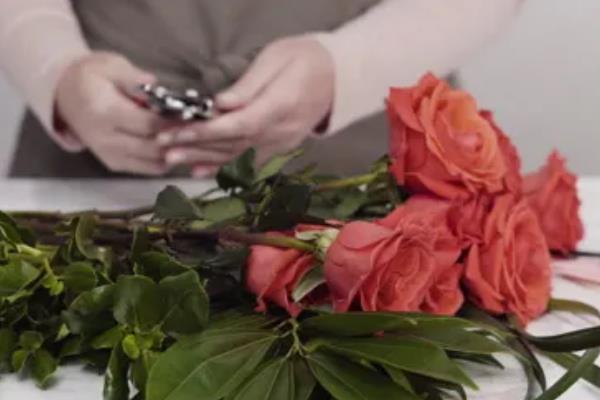 第一次见对象选择送什么花，可选择玫瑰花、马蹄莲等